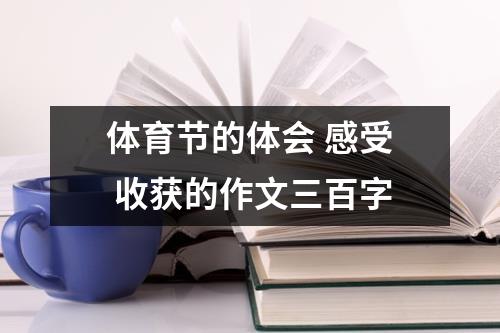 体育节的体会 感受 收获的作文三百字