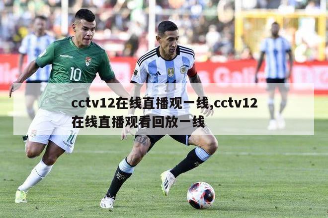 cctv12在线直播观一线,cctv12在线直播观看回放一线