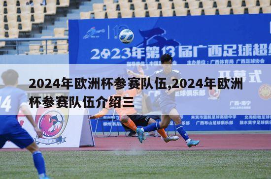 2024年欧洲杯参赛队伍,2024年欧洲杯参赛队伍介绍三