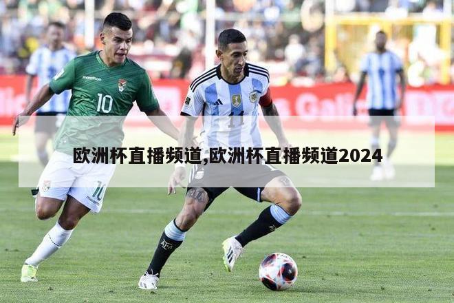 欧洲杯直播频道,欧洲杯直播频道2024