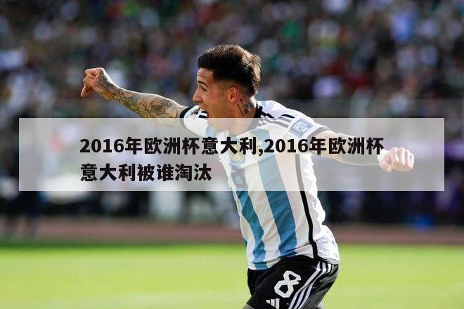 2016年欧洲杯意大利,2016年欧洲杯意大利被谁淘汰